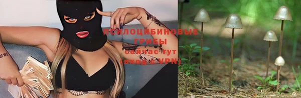 ECSTASY Абдулино