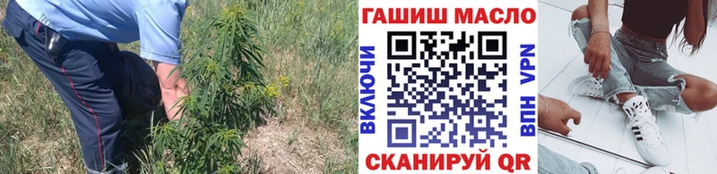 маркетплейс какой сайт  сколько стоит  Алагир  Дистиллят ТГК THC oil 
